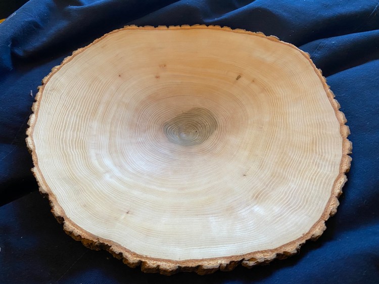 Live Edge Ash Platter 20 inches